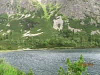 IMG_1539.jpg, 29kB